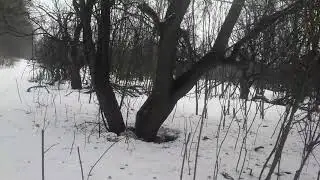 Удаляю канал.Создаю новый канал.