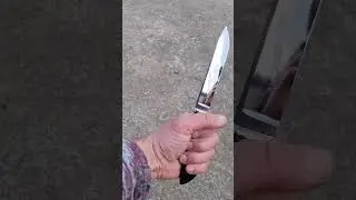 Бычак по мотивам