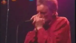 Don Baker - Dons Train (Live At The Olympia 1991)