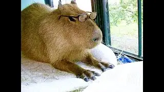 :]