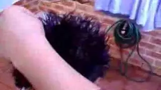Joe Cuts My Hair