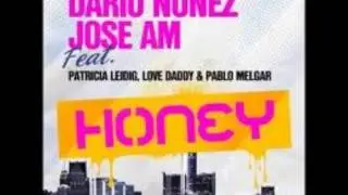 Patricia Leidig, Love Daddy & Pablo Melgar - Honey (Danny Costta & Jose Alexis Remix)