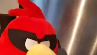 VZShort: Reds Attempt