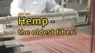 hemp , an ancient plant, has been known and used by humans for a long time.#hempseedoil #healthcare