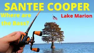 Fishing Santee Cooper For Bass (Lake Marion) Day 2