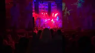 She Loves Dick -  - Here Come The Mummies Live