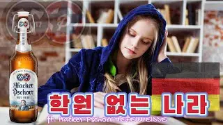 하커프쇼르 마시면서 푸는 독일 썰