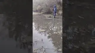 рибалка на паук в копанці 