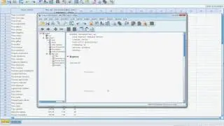 Test of normality and data transformation in SPSS