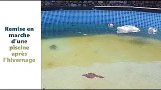Remise en route de la piscine - sortie d'hivernage piscine #1