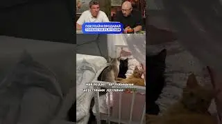 ЗАСМЕЯЛСЯ - ПОДПИСАЛСЯ! Ч.09🤣  ПОПРОБУЙ НЕ ЗАСМЕЯТЬСЯ!