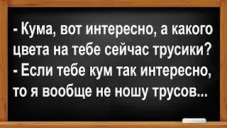 Про кума, куму и трусы... Анекдоты! Юмор! Позитив!