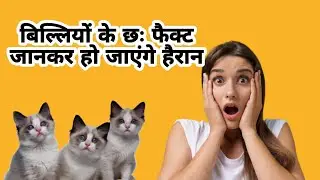 बिल्लियों के छः फैक्ट जानकर हो जाएंगे हैरान | cat six fact 😱 | gk | general knowledge #gk #cat
