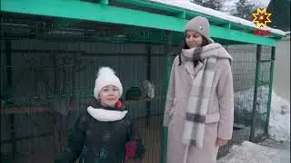 20/02/2023  - Шоу "Ир пулсан"  - Павлины и цесарки