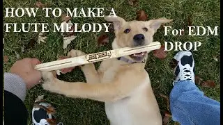 How to make  a Flute melody for a Drop || FL Studio 20 tutorial || Sriddhit