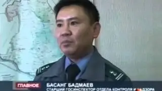 ПРОВЕРКА СЕМЯН