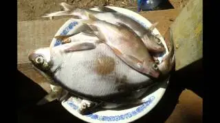 Рыбалка