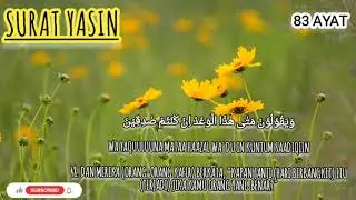Surat Yasin penenang hati pengusir jin
