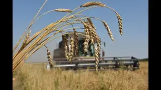 Новости с полей