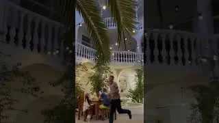 Пальма 🌴