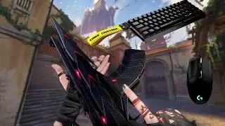 You Didn't Know You Needed This Sens In Valorant