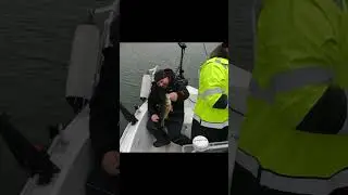 ON ALLES PÕRSAS!
