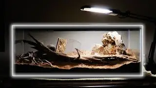 i made a vivarium for ants!
