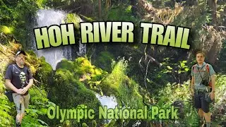 Hoh River Trail to Mineral Creek Falls | Olympic National Park