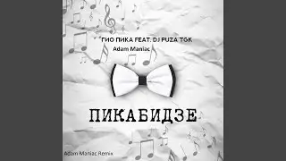 Птицы [Adam Maniac Remix]
