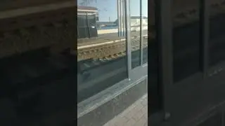 Колбатрип. С усами.
