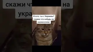 #украина