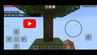 Minecraft Skyblock Survival