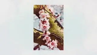 [cute valentines day lofi] to my first love. - yojosummer