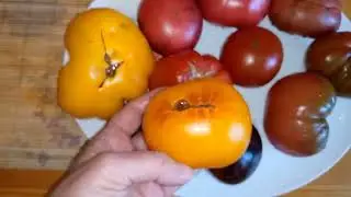 САМЫЕ СЛАДКИЕ И ВКУСНЫЕ ТОМАТЫ ОСТАВЛЯЮ НА СЕМЕНА