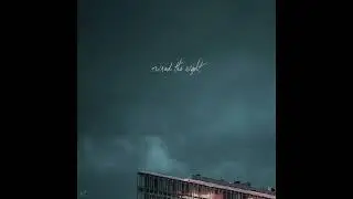 Ruined the Night (Official Audio)