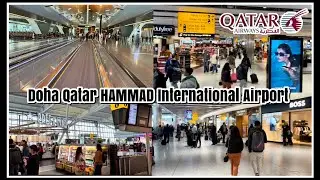 Doha Qatar Hamad International Airport 2023 Walking Tour #shorts