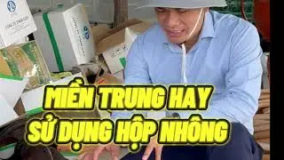 HỘP NHÔNG SỐ XE CÔNG NÔNG I Trần Quang Huy Official