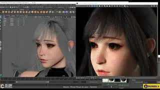 Yurisa Review