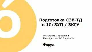 Вебинар по подготовке СЗВ ТД
