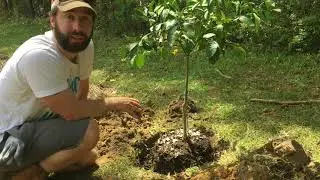 Canvas Grow Bags (Air Pruning) Vs Plastic Pots