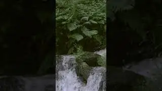 Best Scene of Water fall with Music