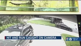 Caught on camera: hit and run crash sends fire hydrant flying truck into sea wall