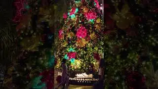 Christmas tree in Waikiki, Honolulu, Hawaii 💙