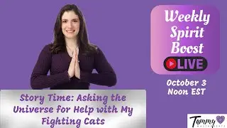 Story Time: Asking the Universe for Help with My Fighting Cats
