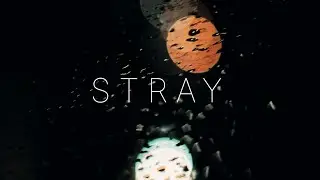 STRAY | A Poetic Documentary