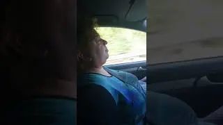 По дороге к бабушке