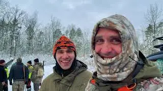 HUNTING for ungulates in the snow. 