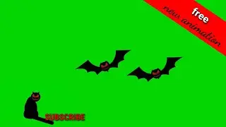 HALLOWEEN GREEN SCREEN black cat 
subscribe social media
