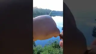 Ultralight fishing with worms