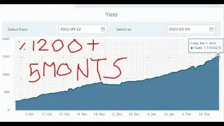ROBOFOREX MENTOR HOW TO SUBSCRIBE TO DAVID #PtcPat Showing %1250+ in 5 MONTHS! SAFETY PASSIVE INCOME